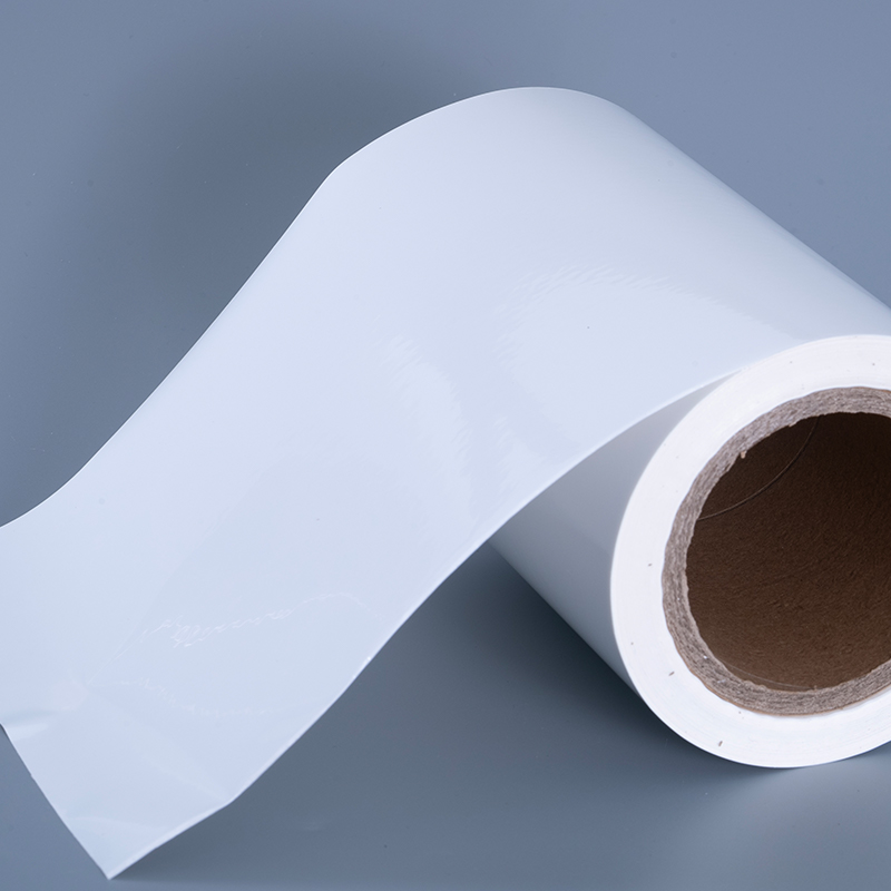 ইঙ্কজেট প্রিন্টিংয়ের জন্য এক্রাইলিক আঠালো জাম্বো রোল সহ 25mic গ্লস পিইটি ভিনাইল ফিল্ম লেবেল সামগ্রী